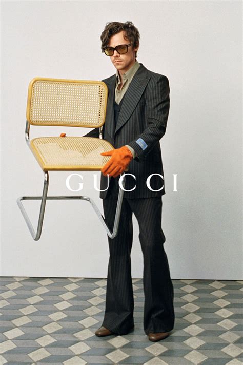 harry styles gucci clothes